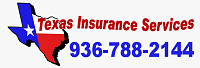 Texas Insurance Services Company Logo